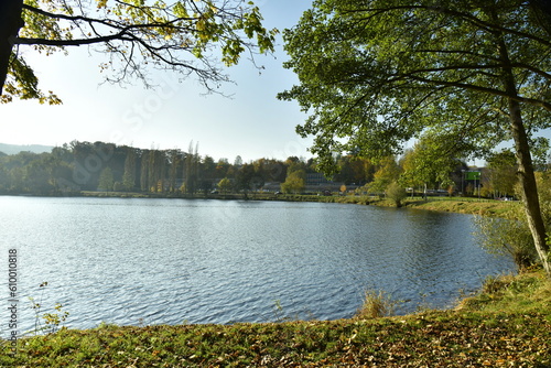 Fototapeta Naklejka Na Ścianę i Meble -  Le lac principal entouré de forêt de feuillus sous un ciel serein au domaine provincial de Kessel-Lo à Louvain