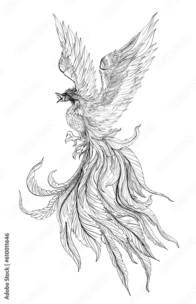 Phoenix Fire bird illustration and character design.Hand drawn Phoenix tattoo Japanese and Chinese style,Legend of the Firebird is Russian fairy tales and it is creature from Slavic folklore.