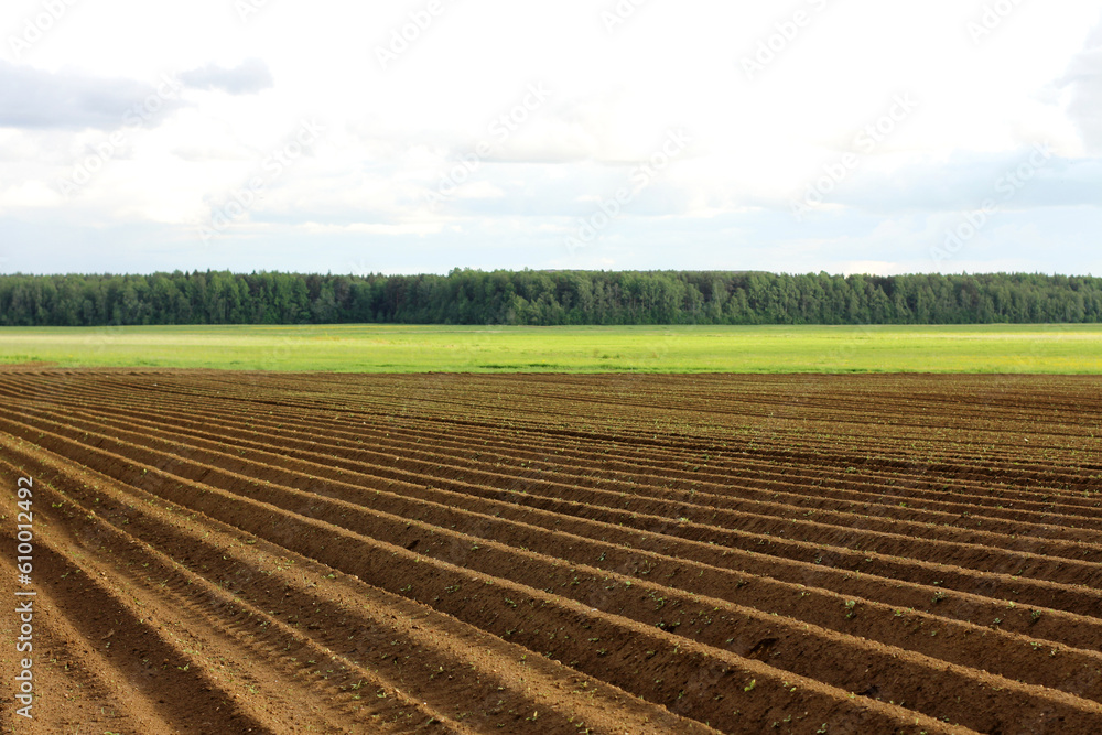 a plowed field. Creating a furrow in an arable field, preparing for planting crops in the spring