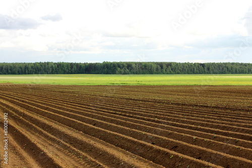 a plowed field. Creating a furrow in an arable field  preparing for planting crops in the spring