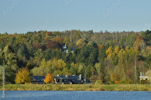 La forêt en automne à proximité du lac des Doyards à Vielsalm photo