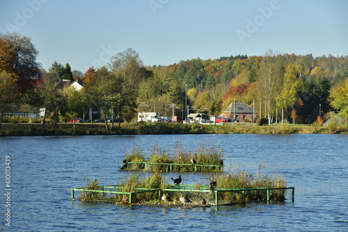 La forêt en automne à proximité du lac des Doyards à Vielsalm photo