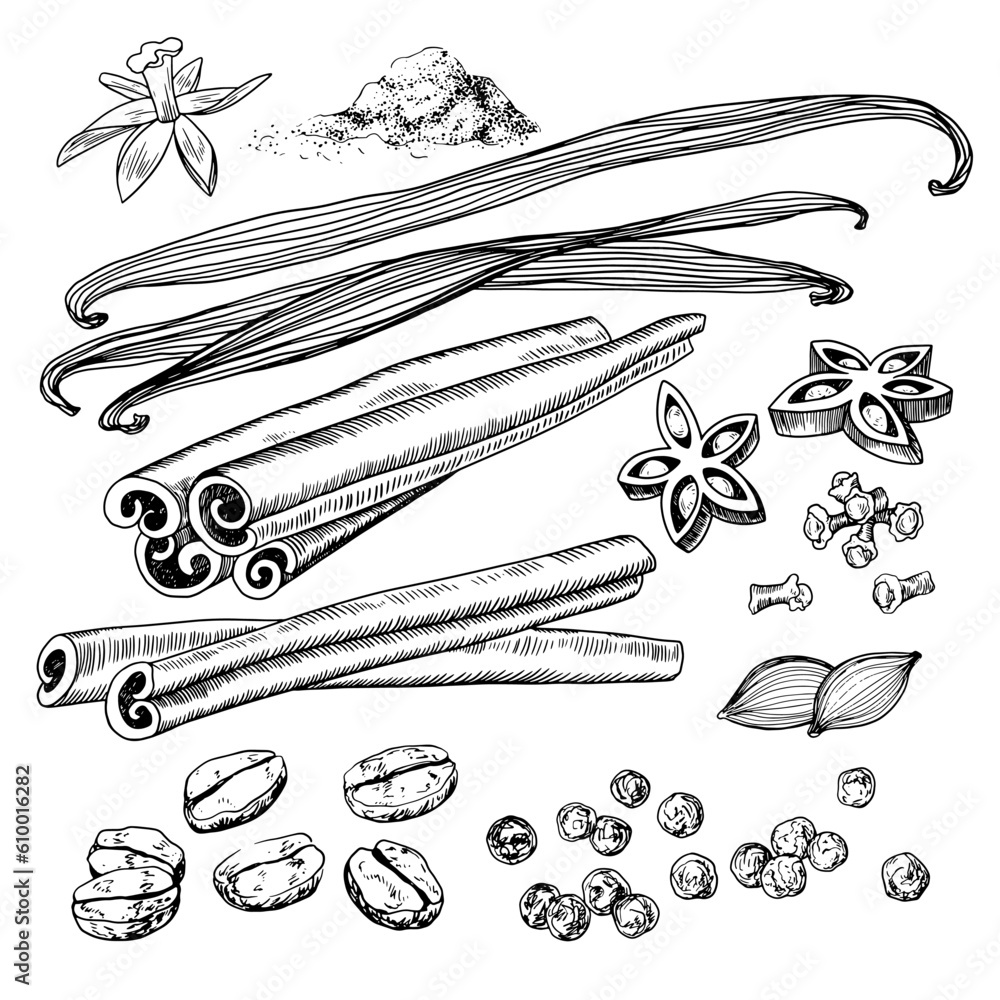 Set of spices. Vanilla flower, dried vanilla sticks, cinnamon, allspice
