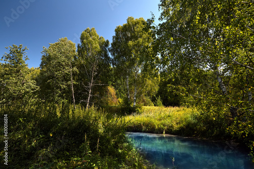 Forest landscape with river. A beautiful Russian landscape with birch trees and a blue sky with white clouds.