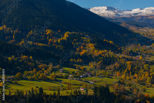Autumn season in the Savsat District. Artvin, Turkey. Beautiful autumn landscape from Yavuzkoy Plateau. Colorful nature view with snowy mountains background. © Samet