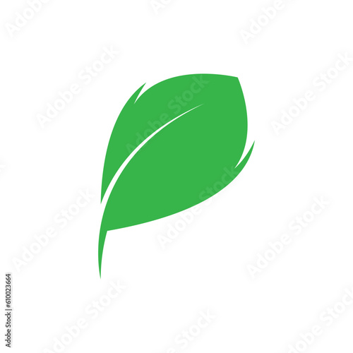 green leaf logo design vector icons