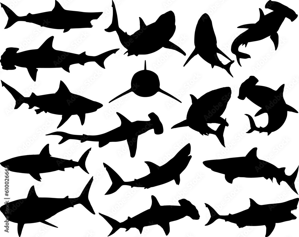 Fototapeta premium Set of Sharks Silhouette