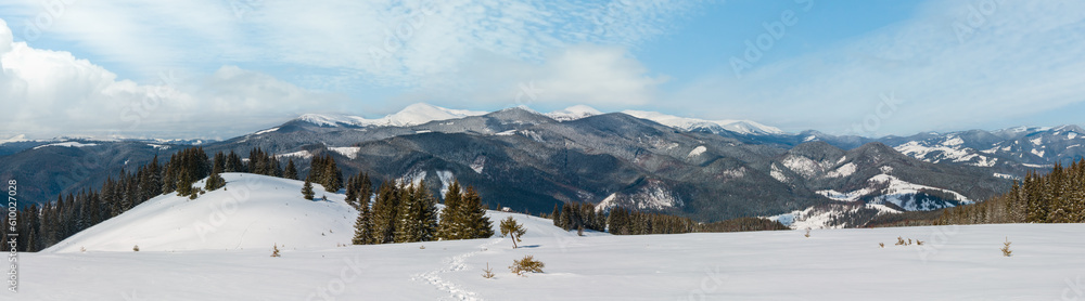 Picturesque winter mountain view from alpine path with footprint. Skupova mountain slope, Ukraine, view to Chornohora ridge and Pip Ivan mountain top with observatory building, Carpathian.