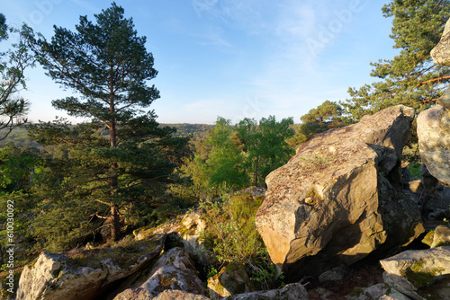  boulders of the Haute-Pierre hill in Fontainebleau forest 