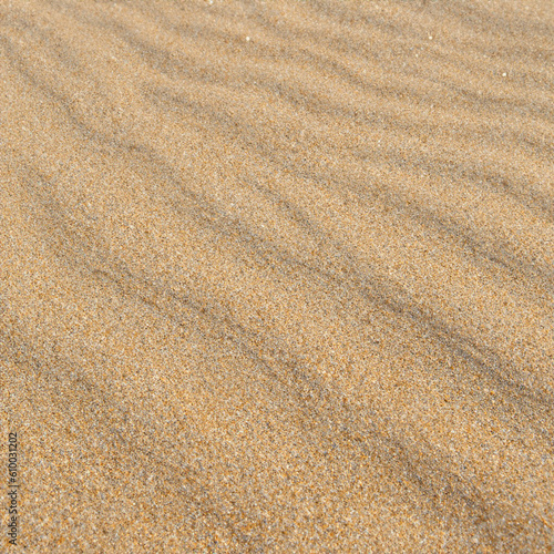 Sand texture summer beach