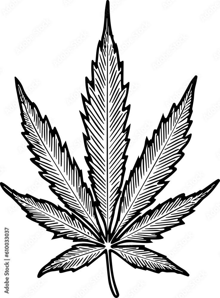 Cannabis marijuana icon vector image Cannabis marijuana icon vector image