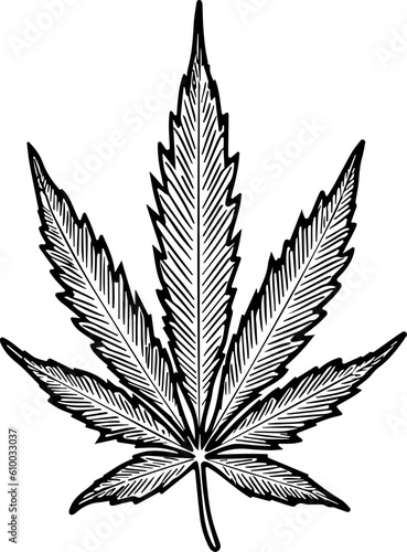 Cannabis marijuana icon vector image