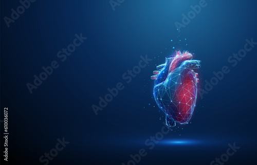 Fotografia Abstract blue and red human heart. Heart anatomy