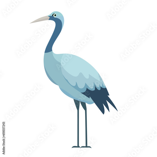 Blue crane bird flat style vector illustration, Stanley or paradise crane, Anthropoides paradiseus, the national bird of South Africa vector image