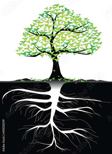 Tree Branches And Roots