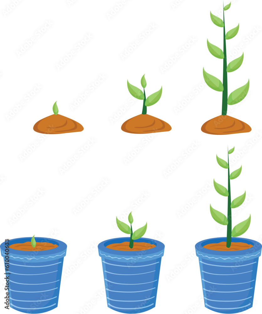 set of plants set of plants