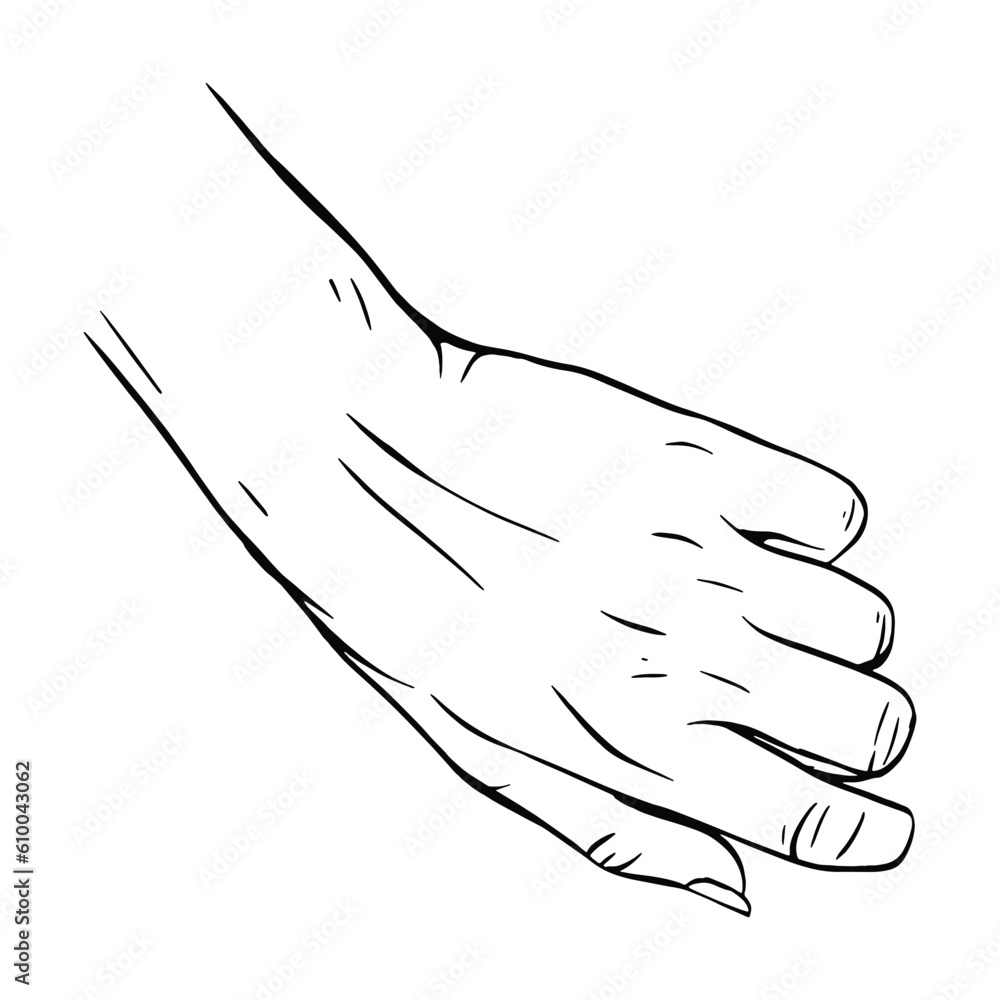 Hand drawn gesture sketch vector illustration line art Hand drawn gesture sketch vector illustration line art