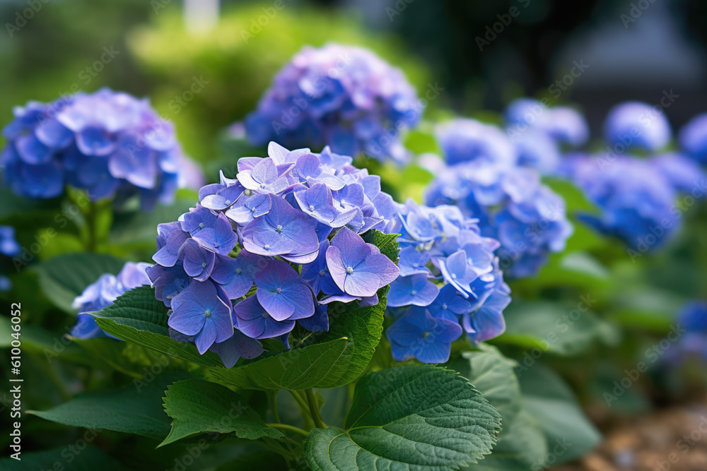 Hydrangea flower created with Generative AI technology Hydrangea flower created with Generative AI technology