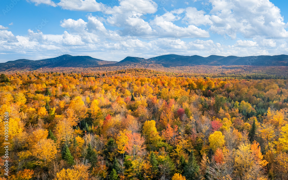 Golden autumn colors at Moosehead Lake - Maine Golden autumn colors at Moosehead Lake - Maine