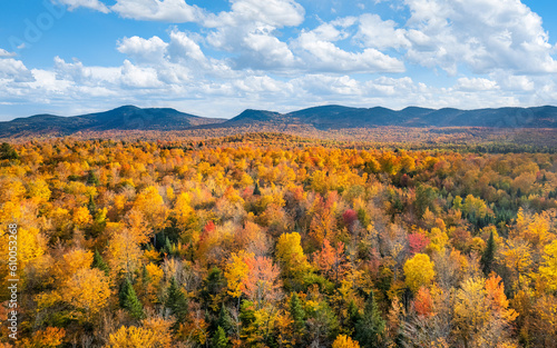Golden autumn colors at Moosehead Lake - Maine