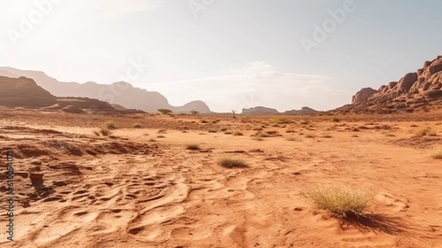 valley in the desert © Nica