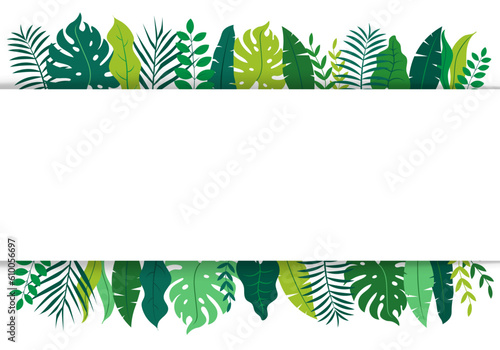 tropical floral leaf and frame on white banner background. Fresh rainforest tropical plants frame background. monstera and palm tree copy space center. vector illustration flat design.