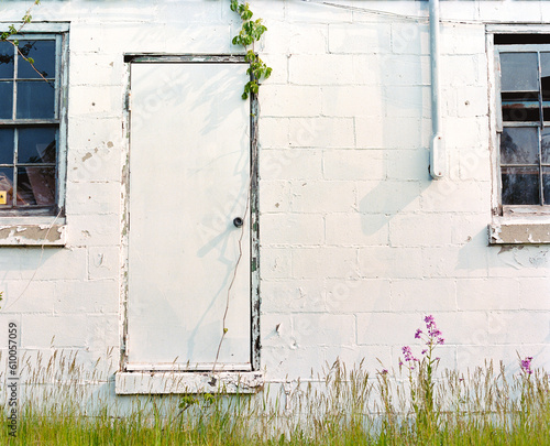 old window with flowers