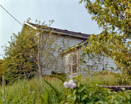 house in the woods