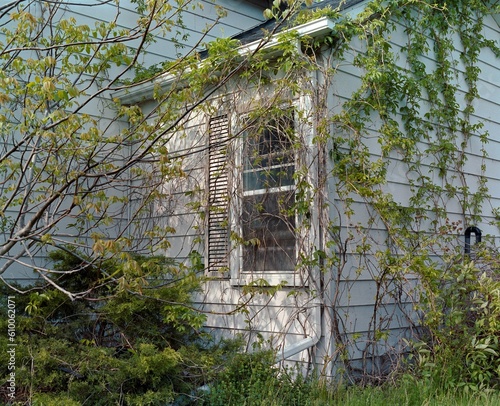 abandoned building in the woods