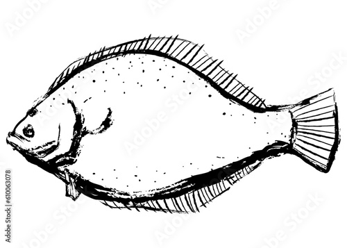 Flatfish is a popular fish in Korea. It is famous for eating sashimi.