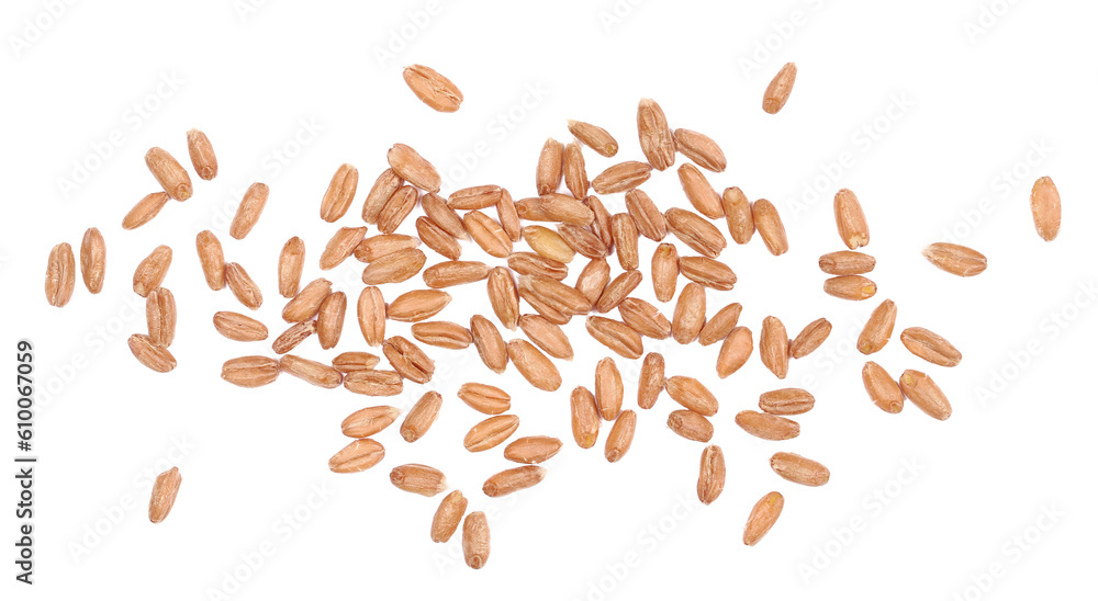 Organic peeled spelt grains isolated on white, top view - obrazy, fototapety, plakaty 