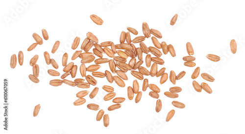 Organic peeled spelt grains isolated on white, top view photo
