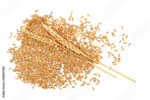 Fotografía Organic peeled spelt grains and ear of wheat isolated on white, top view