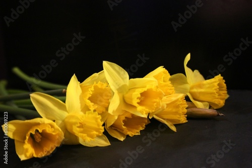 Bouquet of narcissus  