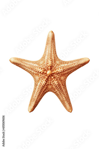 close up of a starfish isolated on a transparent background