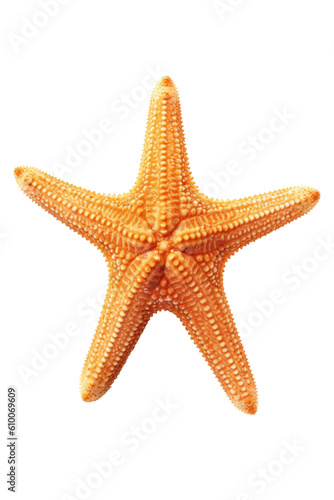 close up of a starfish isolated on a transparent background