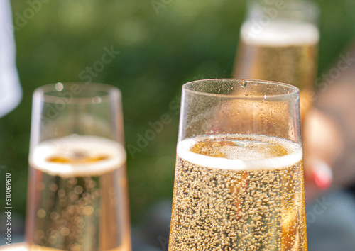 women drinking wine. three glasses white wine in female hands. flute glass of champagne with bubbles outdoors isolated against. garden scene blurred in the background. Cold Beer in glass. outdoor