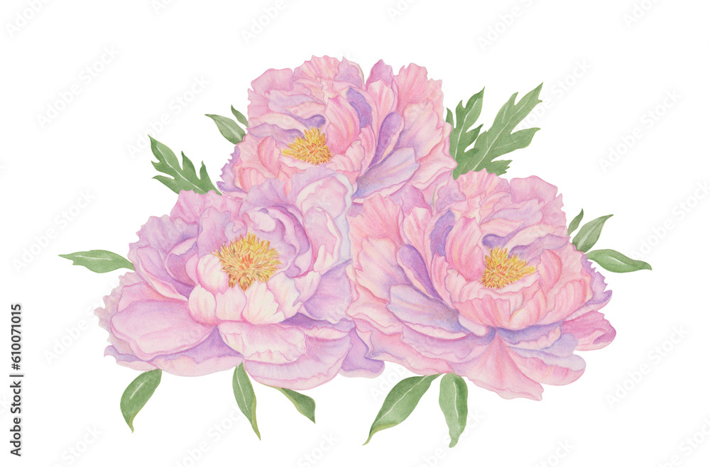 Hand-painted bouquet of pink peonies.