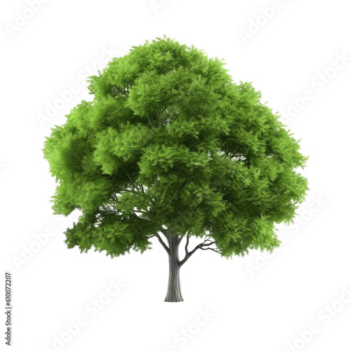 Tree isolated on transparent background. Generative ai