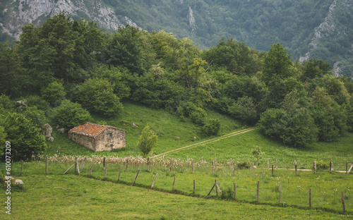 Landscape of the mountains with a traditional house and a dirt road 