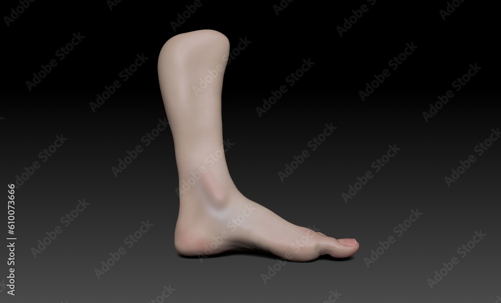 Female Foot Sculpt pose render of background. 3d rendering Female Foot Sculpt pose render of background. 3d rendering
