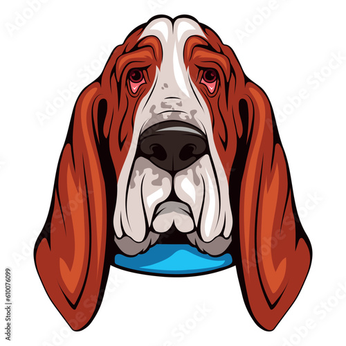 Basset hound. Vector illustration of a pet animal. Lazy dog