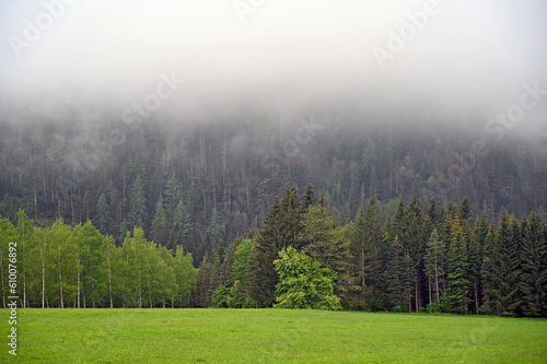 Fototapeta Naklejka Na Ścianę i Meble -  Fog over the forest, morning in Styrian Austria