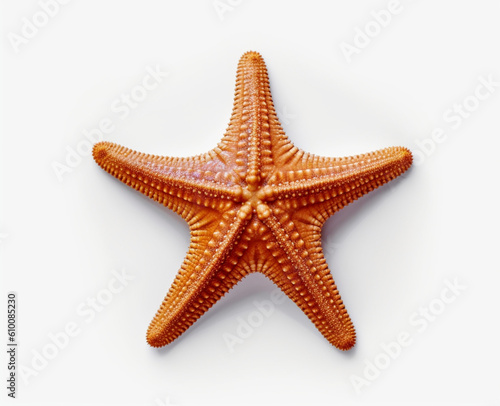 Starfish in orange color, on white background