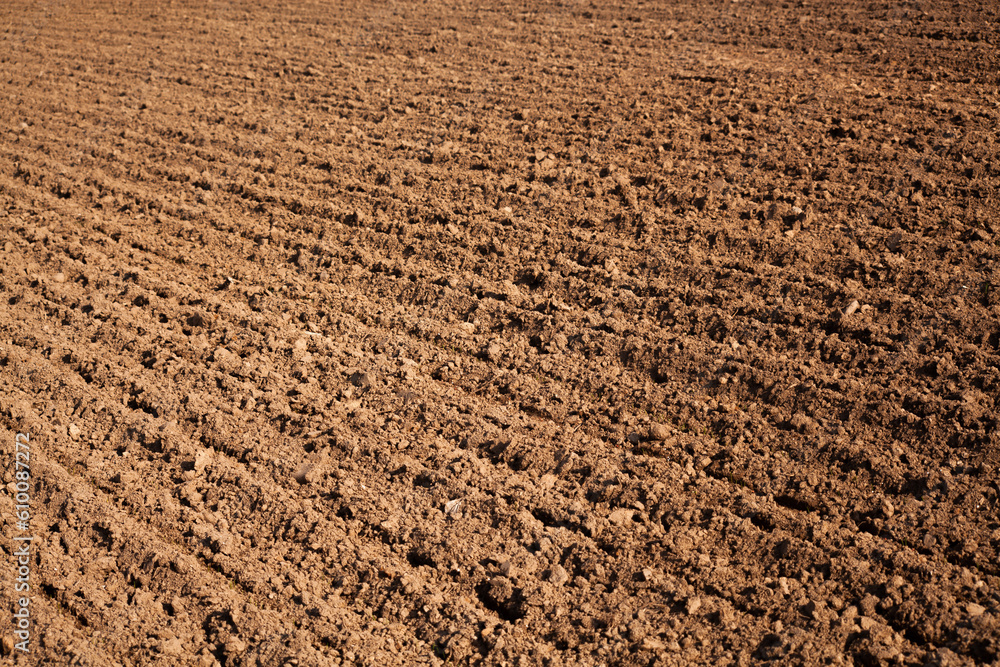 Rural landscape. Row plowed field, sown with cereals or prepared for planting, brown earth, clay or loamy soil. Organic agriculture. Agricultural land. Agricultural background. Rural landscape. Row plowed field, sown with cereals or prepared for planting, brown earth, clay or loamy soil. Organic agriculture. Agricultural land. Agricultural background.