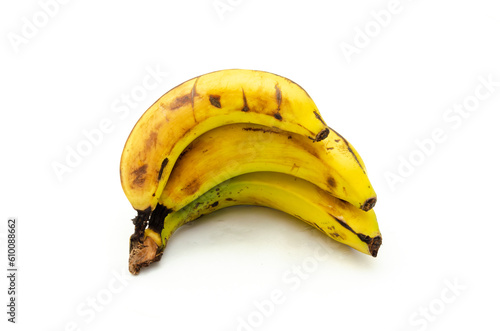 Canary mini bananas