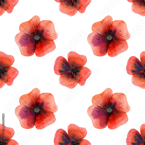 Seamless pattern with papaver poppy flowers