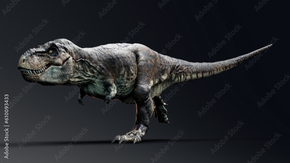 Trannosaurus Rex Sue pose render of background. 3d rendering Trannosaurus Rex Sue pose render of background. 3d rendering
