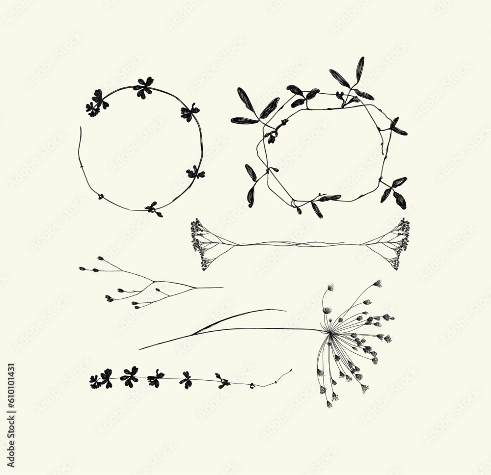 Branches leaves and flowers silhouettes set drawing on beige background