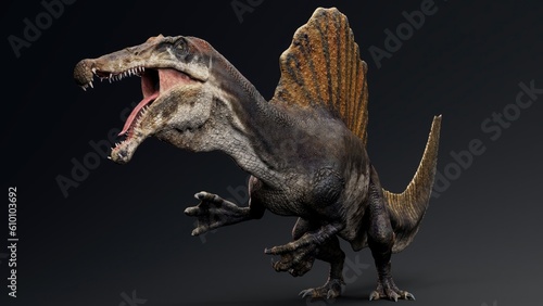 Spinosaurus  pose render of background. 3d rendering © racksuz